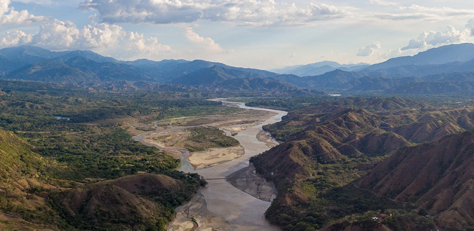 Bandada: Lenguajes políticos y propuestas de paz desde el sur