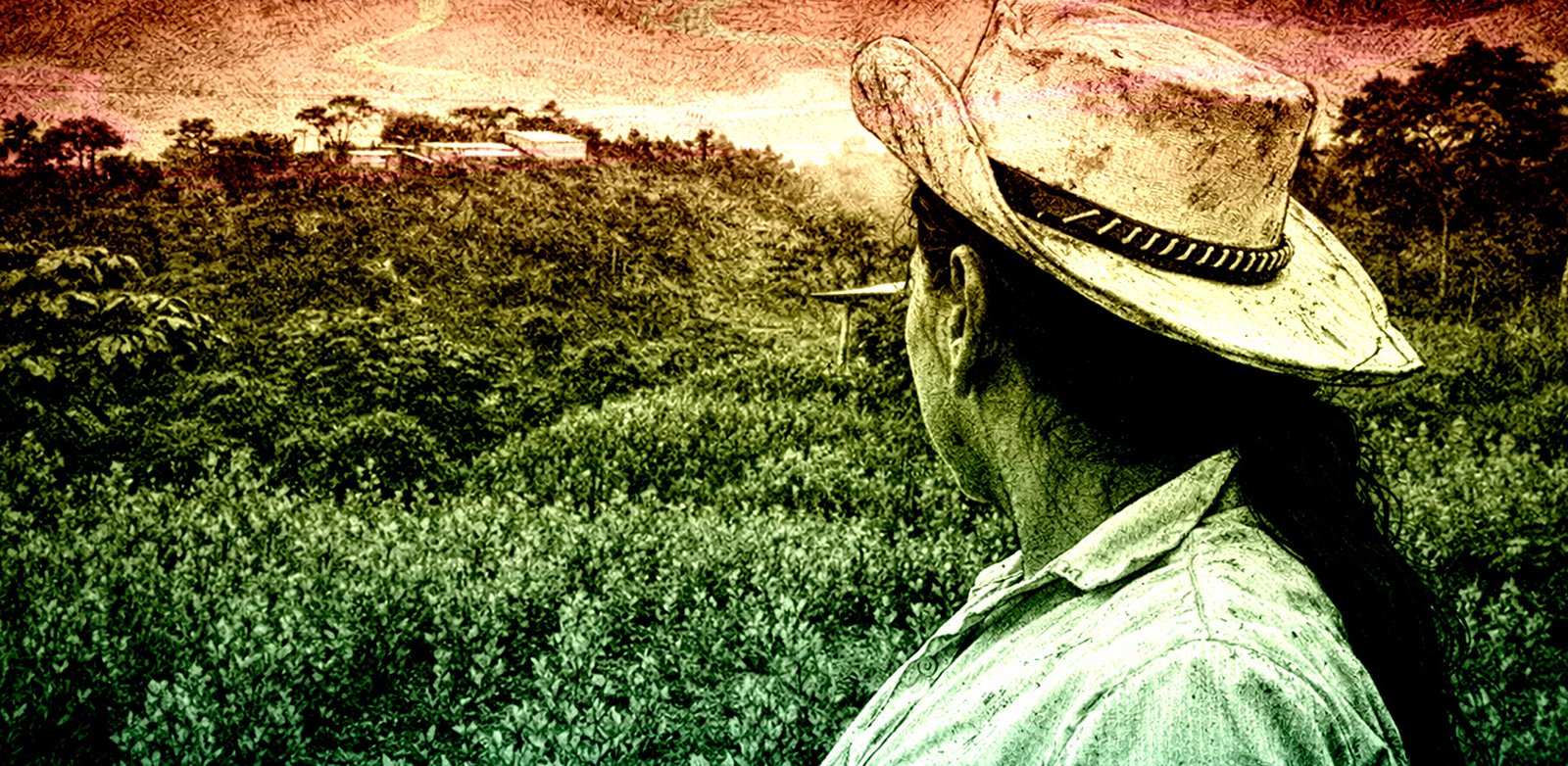 Mi vida después de la guerra, el liderazgo de una mujer firmante de paz en el Catatumbo