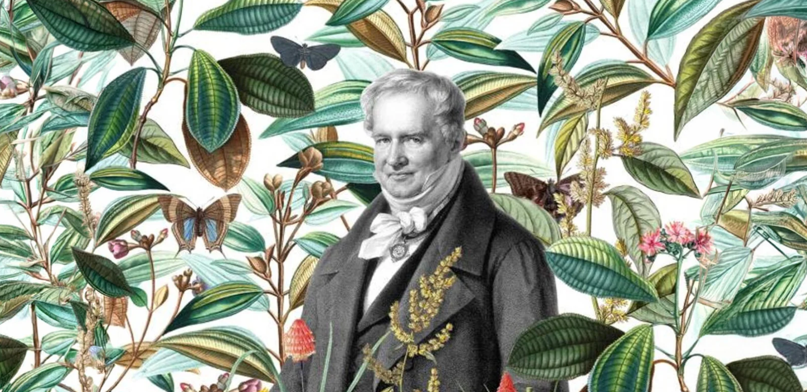Humboldt, el primer hombre que habló del cambio climático