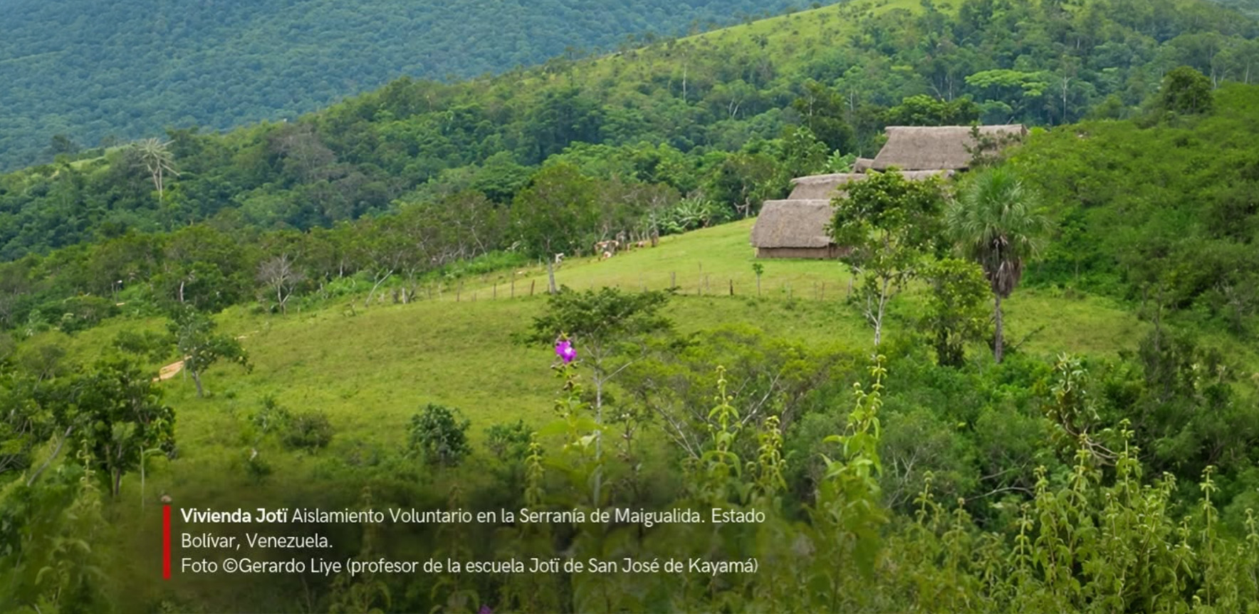 Programa de Promoción de Derechos indígenas Wayamoutheri